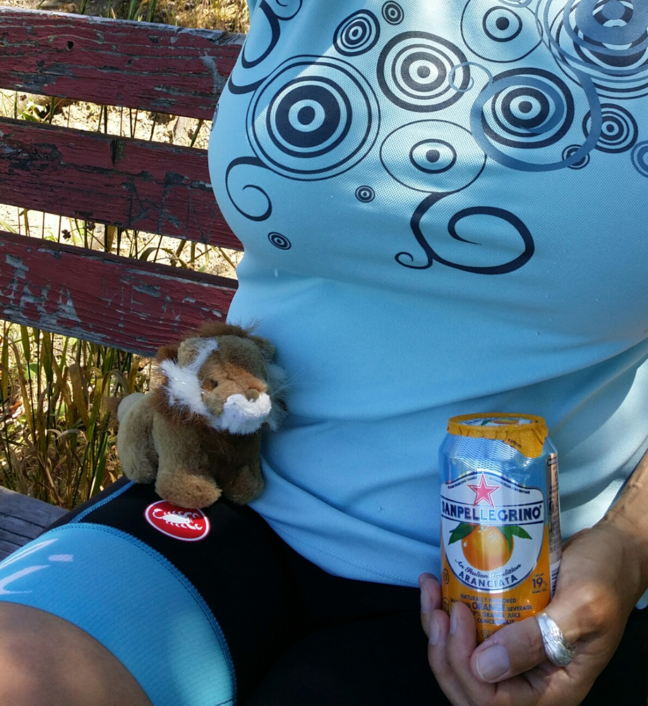 Constantia with Rob lion during cycling trip