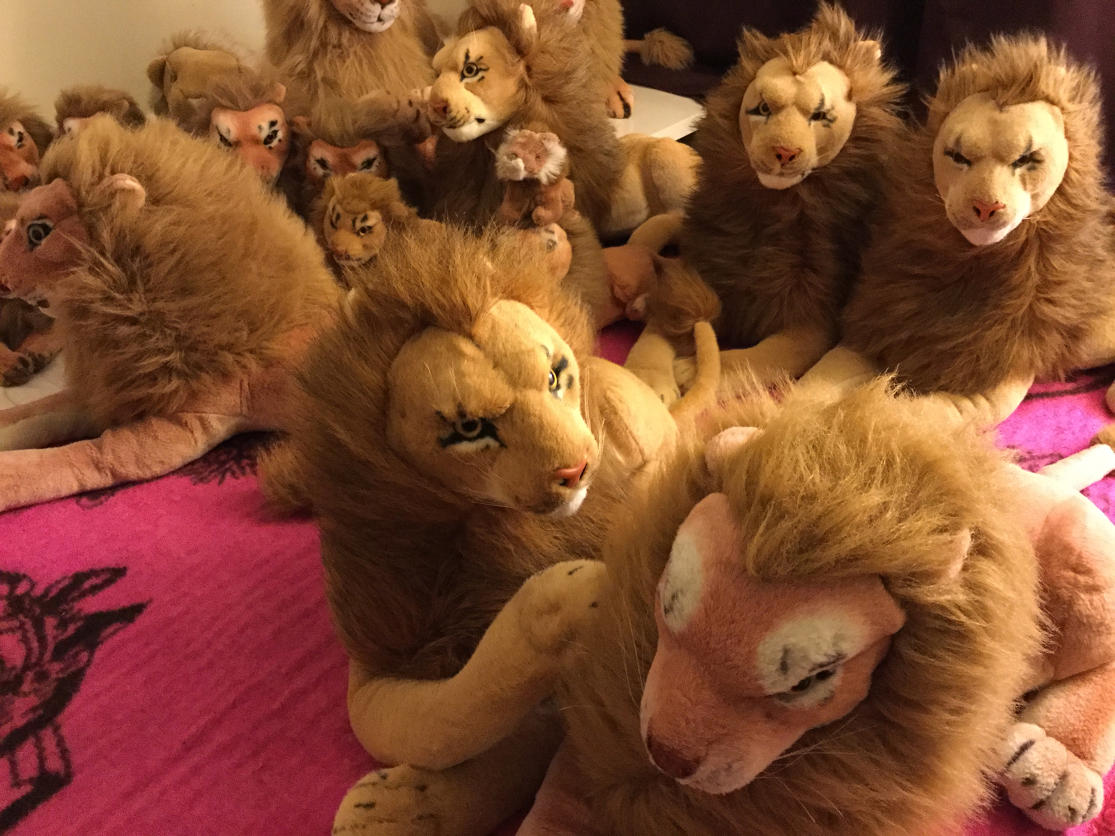 The fourth of the quad. Robust and very pleasantly curved, his quad brothers in the background