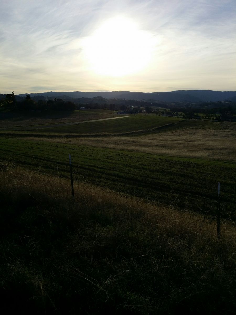 Timm Road, Vacaville, California, where I was "looking" for Rob in the distance (with my mind's eye)