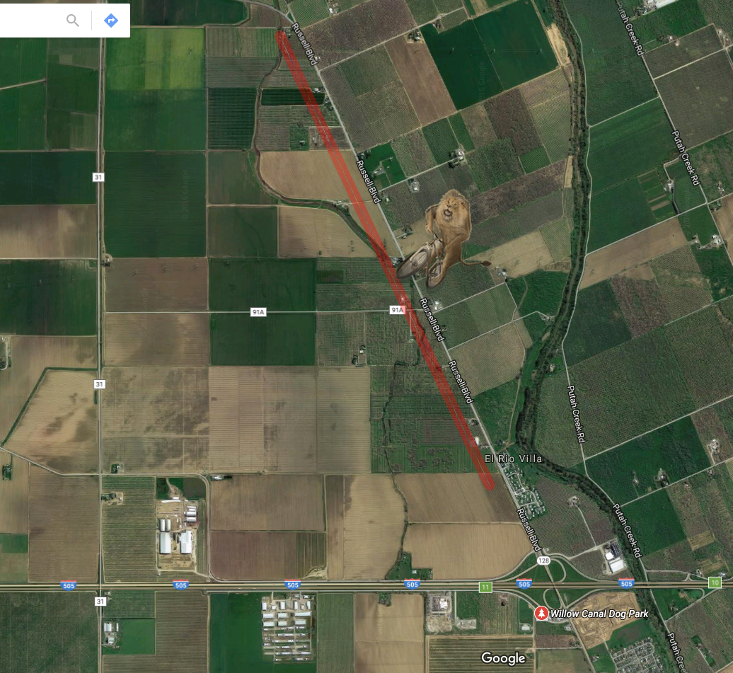 The magical bicycle ride, Russel Boulevard, Winters, California