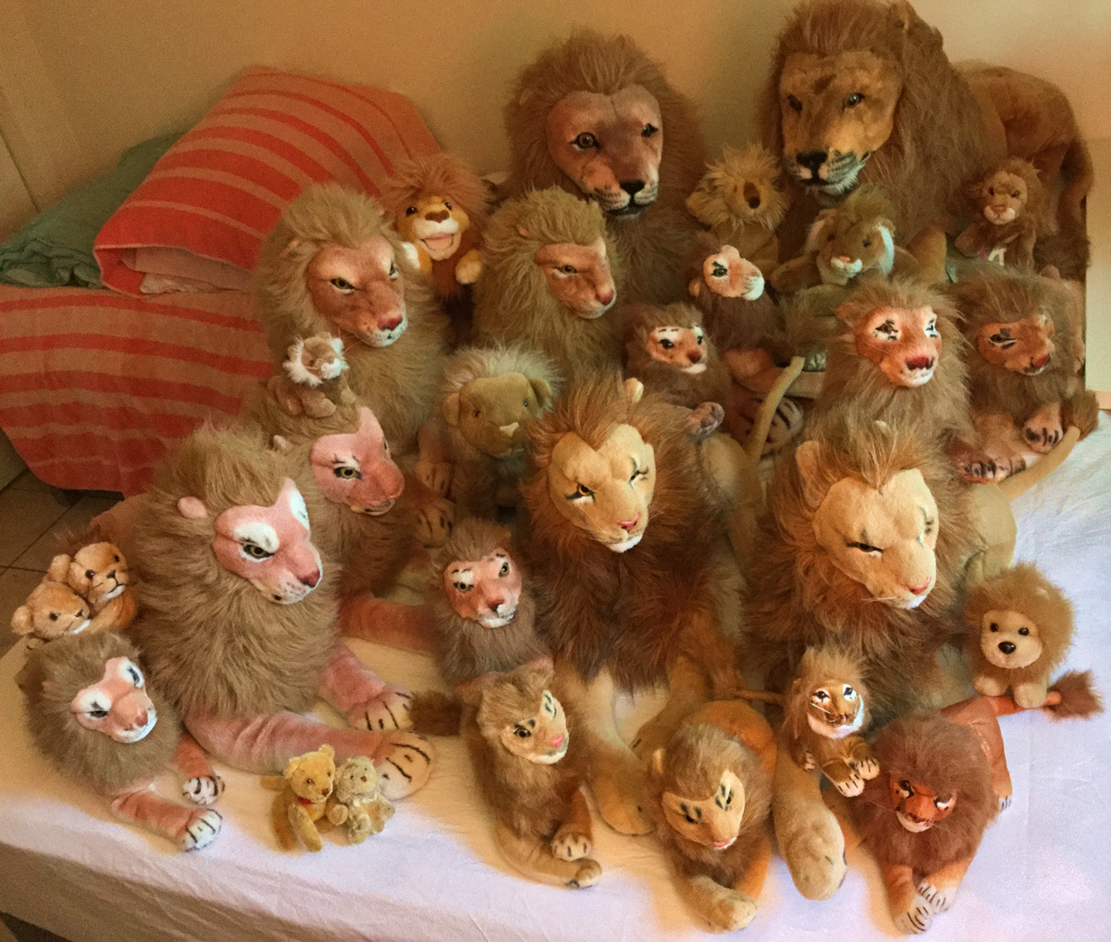 The Rob Nanninga lion pride