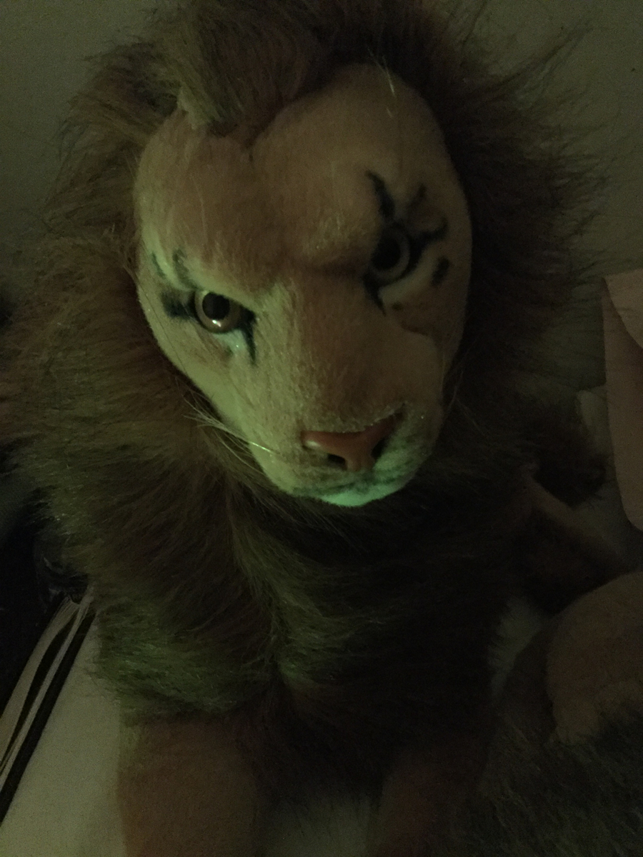 Rob Nanninga Lion, number 3 of quad