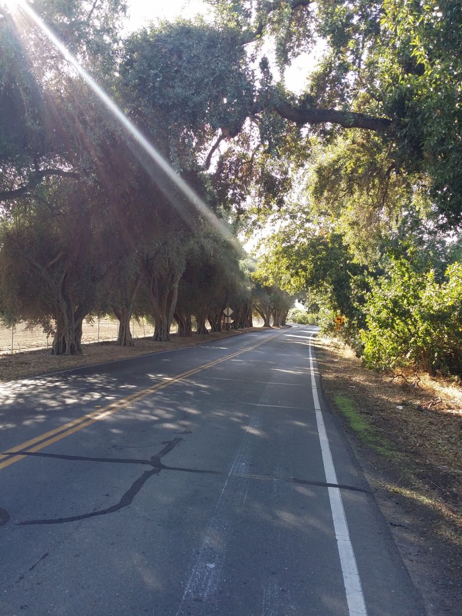 Putah Creek Road Winters, California