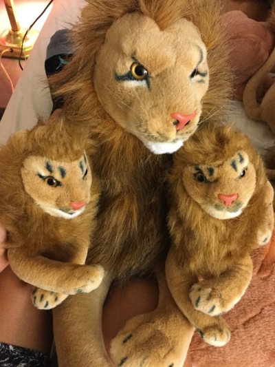 Peace Bor Lion with cubs, "The Power Of Peace"